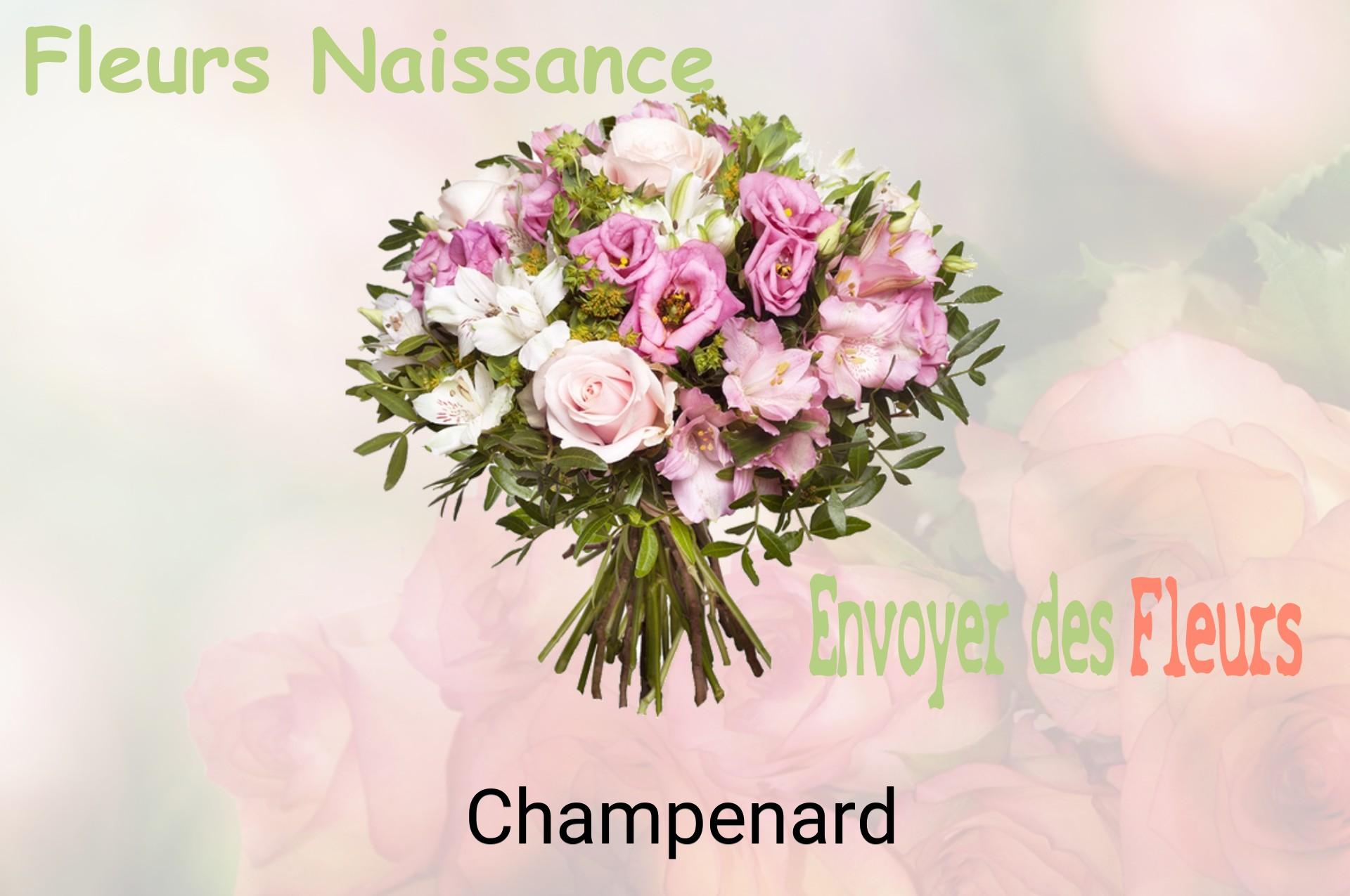 Bouquet de fleurs de naissance livré à Champenard